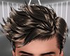 Ceaser Silver/Brown Hair