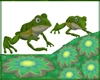 Frog Rides Avi