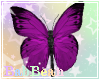 B| Nose Butterfly Purple
