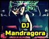 Mandragora ♦