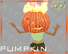 Pumpkin 5a Ⓚ
