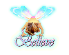 Believe ---  fairy