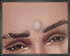 Eyebrows Realistic