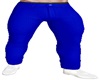 MY Cobalt Blue Pants