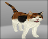Cute Cats Animals Halloween Costumes