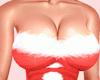 Santas Outfit F