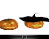 *Ly1* Ambro Pumpkins