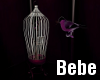 Bird Cage Animated