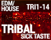 House - Tribal