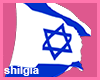 ♡Windy Flag ISRAEL M/F
