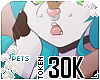 [Pets] 30k support