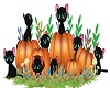 pumpkinpatch/room filler