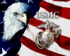 U.S Marine Eagle