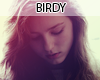 ^^ Birdy Official DVD