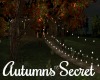 ~SB Autumns Secret