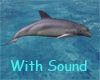 NC Dolphin 1 w/ Sound