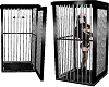hanging cage