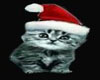 CHRISTMAS CAT