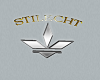 My STILECHT Logo