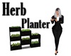 Herb Planter