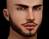 ♛ Realistic Head 05