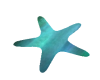 Teal star dance marker
