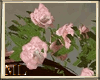 ML Mini Roses Pink