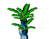 DERIVABLE  PLANTS