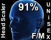 F/M Head Scaler 91%
