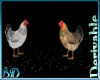 DRV Chickens
