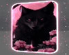 pink moon wolf ♡