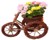 Flowers and Bike