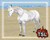 [T] White Horse Kiss