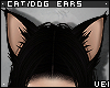 v. Cat/Dog Ears: Coal