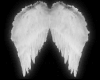 [PR] Wings