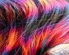 multi color hair