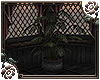 [CQ] Potted Plant 1
