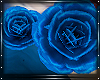 M; Blue Body Roses
