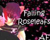 Falling Rose Leafs