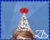 *ZL* Birthday Hat