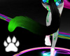 Green black Cat Tail