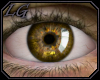 [LG] Eyes Honey