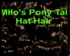 Milo's Hat Tail Hair