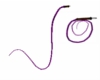 Purple Whip/Animated