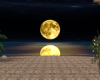 Autumn Beach Night