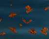 Carp Fish Orange Animate
