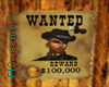 FLS Wanted Poster Req