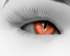Evil Eye Orange