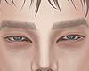 +M_Brows+