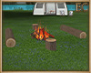 EC| CampingTrip CampFire